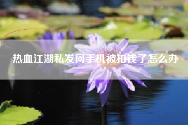 热血江湖私发网手机被扣钱了怎么办
