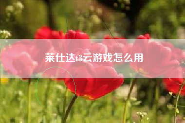 莱仕达t3云游戏怎么用