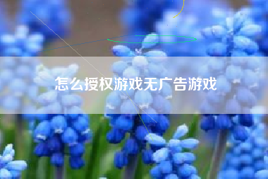 怎么授权游戏无广告游戏