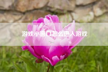 游戏小窗口怎么进入游戏