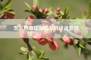 怎么热血江湖私发网快进游戏  第1张