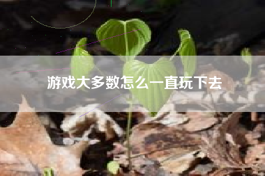 游戏大多数怎么一直玩下去