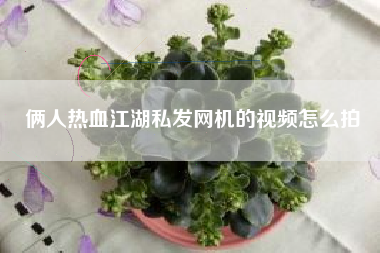 俩人热血江湖私发网机的视频怎么拍