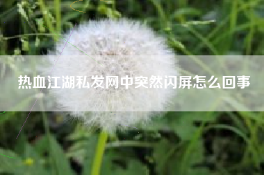 热血江湖私发网中突然闪屏怎么回事
