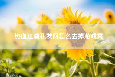 热血江湖私发网怎么去掉游戏秀
