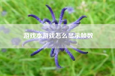 游戏本游戏怎么显示帧数