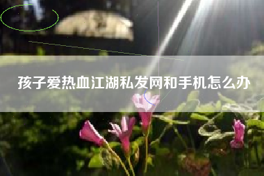 孩子爱热血江湖私发网和手机怎么办
