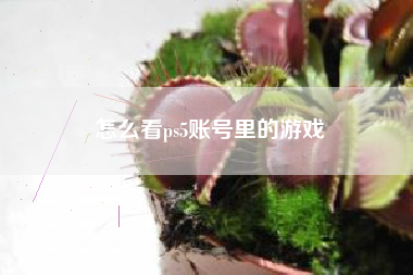 怎么看ps5账号里的游戏