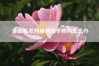 诛仙私发网掉帧会卡顿吗怎么办