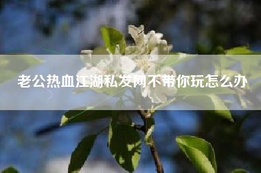 老公热血江湖私发网不带你玩怎么办