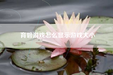 育碧游戏怎么显示游戏大小
