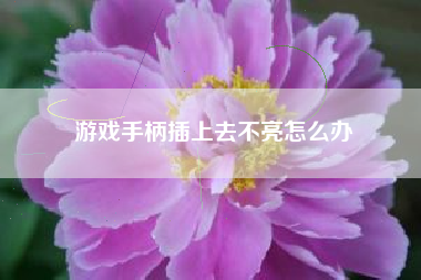 游戏手柄插上去不亮怎么办