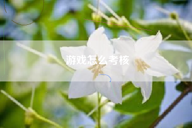 游戏怎么考核