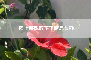 网上游戏取不了款怎么办