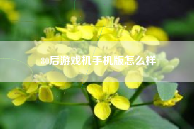 80后游戏机手机版怎么样