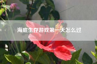 海底生存游戏第一天怎么过