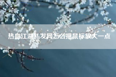 热血江湖私发网怎么把鼠标放大一点