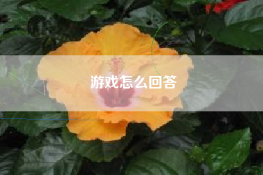 游戏怎么回答