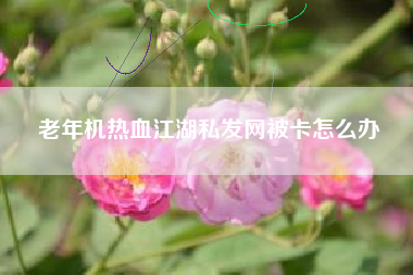老年机热血江湖私发网被卡怎么办  第1张