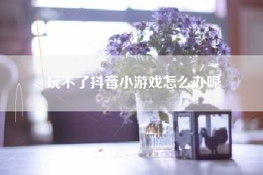 玩不了抖音小游戏怎么办呢