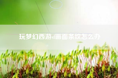 玩梦幻西游sf画面条纹怎么办