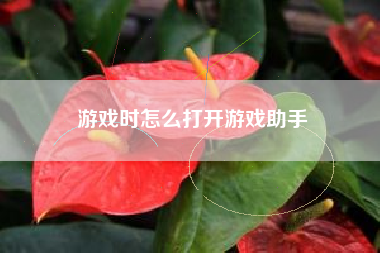 游戏时怎么打开游戏助手