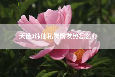 天选3诛仙私发网发热怎么办