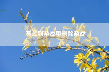 怎么到游戏里删除游戏
