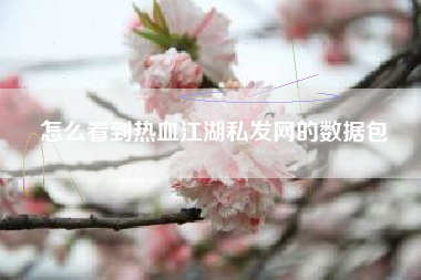怎么看到热血江湖私发网的数据包