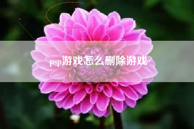 psp游戏怎么删除游戏