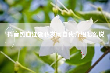 抖音热血江湖私发网自我介绍怎么说