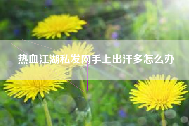 热血江湖私发网手上出汗多怎么办