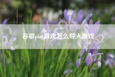 谷歌play游戏怎么导入游戏