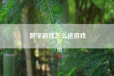 数字游戏怎么进游戏