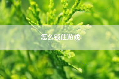 怎么锁住游戏