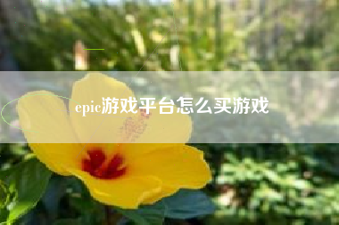 epic游戏平台怎么买游戏