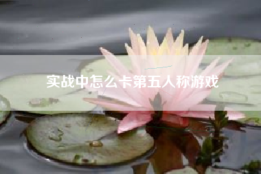实战中怎么卡第五人称游戏