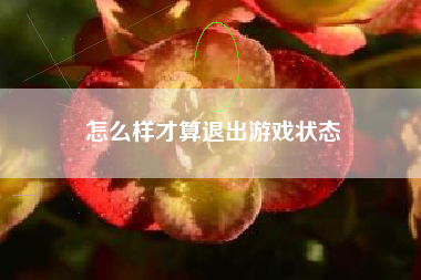 怎么样才算退出游戏状态