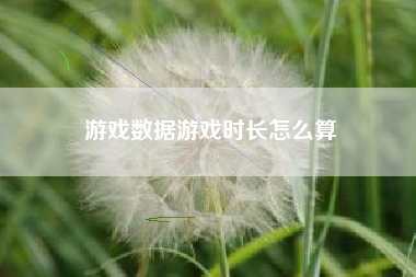 游戏数据游戏时长怎么算