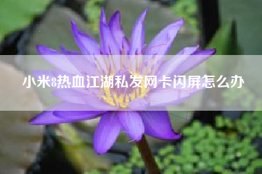 小米8热血江湖私发网卡闪屏怎么办