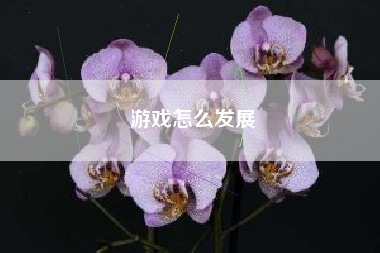 游戏怎么发展