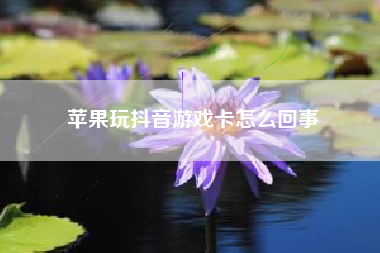 苹果玩抖音游戏卡怎么回事  第1张