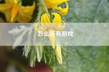 怎么还有游戏