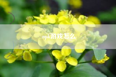 npk游戏怎么