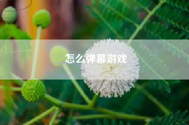 怎么弹幕游戏