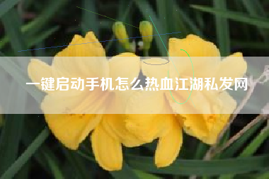 一键启动手机怎么热血江湖私发网