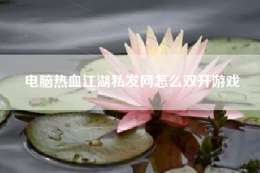 电脑热血江湖私发网怎么双开游戏