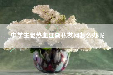 中学生老热血江湖私发网怎么办呢