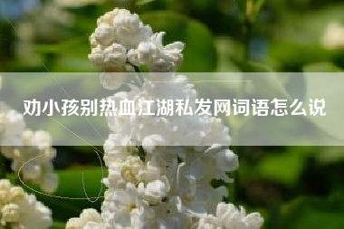 劝小孩别热血江湖私发网词语怎么说