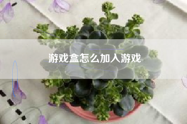 游戏盒怎么加入游戏